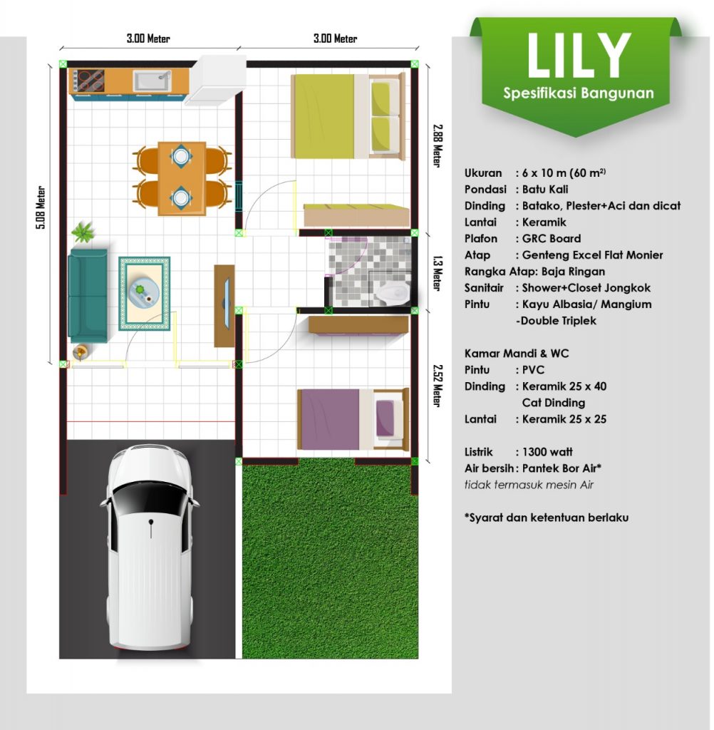 Layout Type Lily