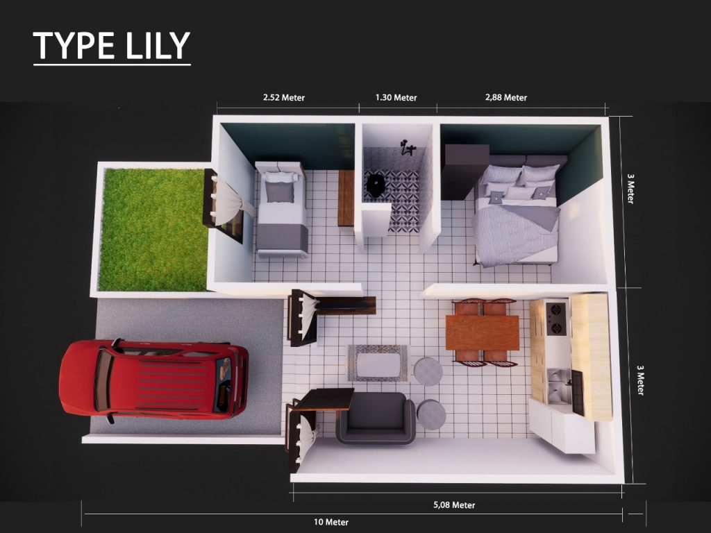 Layout 3D Lily 2
