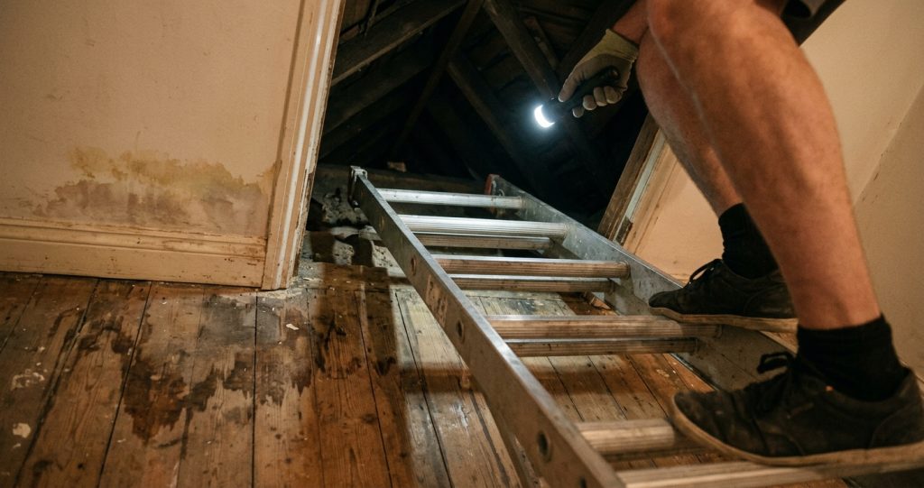 Bukan Cuma Tembok Lembab, Coba Cek Sela Atap Sebelum Panggil Tukang Renovasi